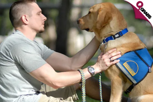 For QR87 Learn How to Discipline Your Pup with an Online Dog Training Course! (QR1846 Value)
